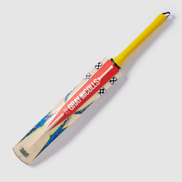 Gray-Nicolls Havoc HB317 Warrior Cricket Bat